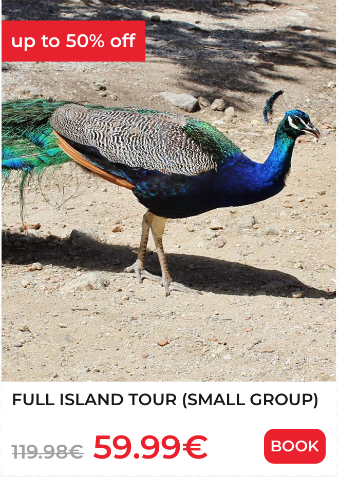 escursioni a rodi tour dell'isola con guida